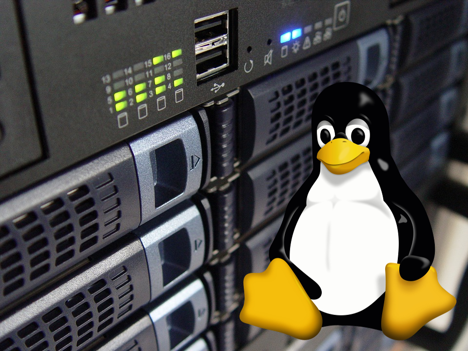 GNU/Linux Debian Server